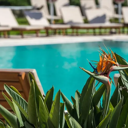 Hotel Bitzaro Grande Hotel&suites 3*