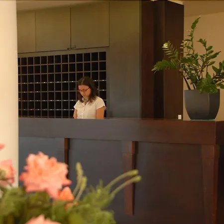 Bitzaro Grande & Otel 3*