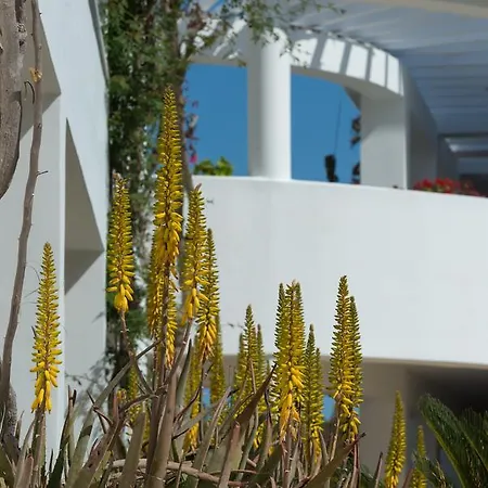 Otel Bitzaro Grande & 3*